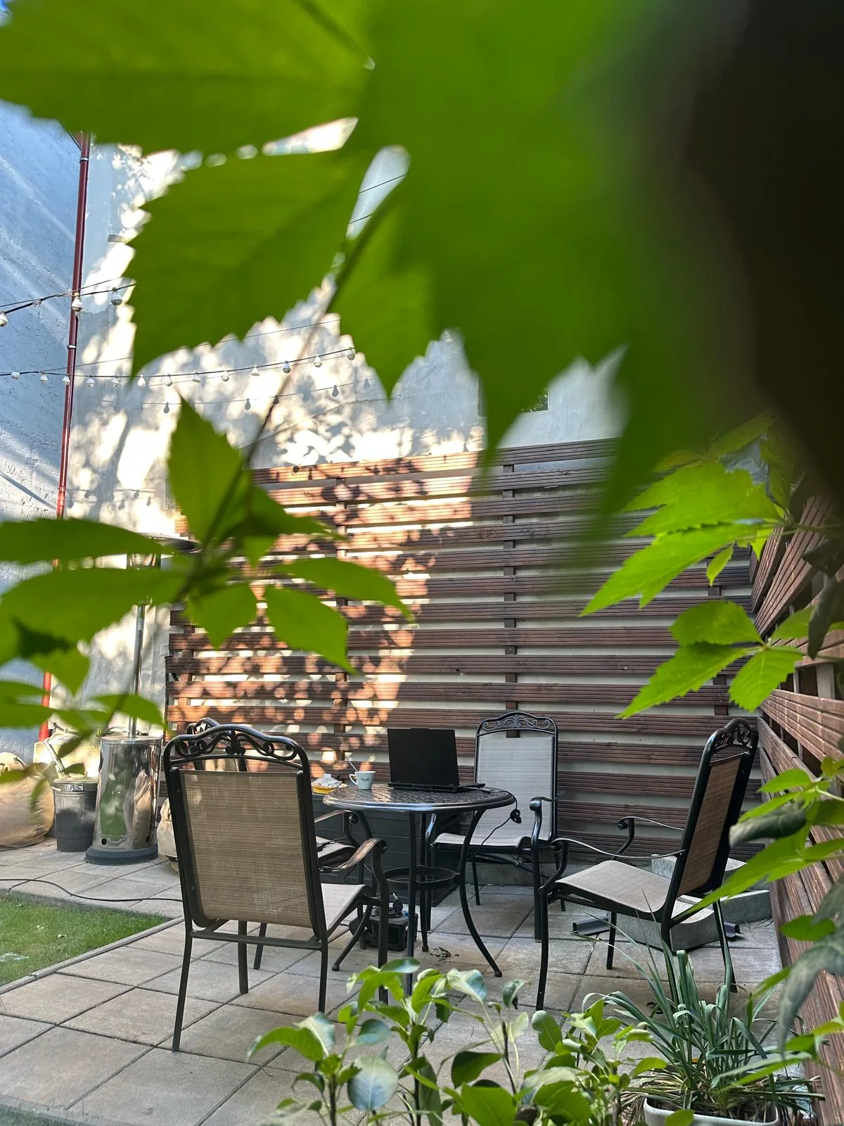 Andrei's garden, seen through the leaves.